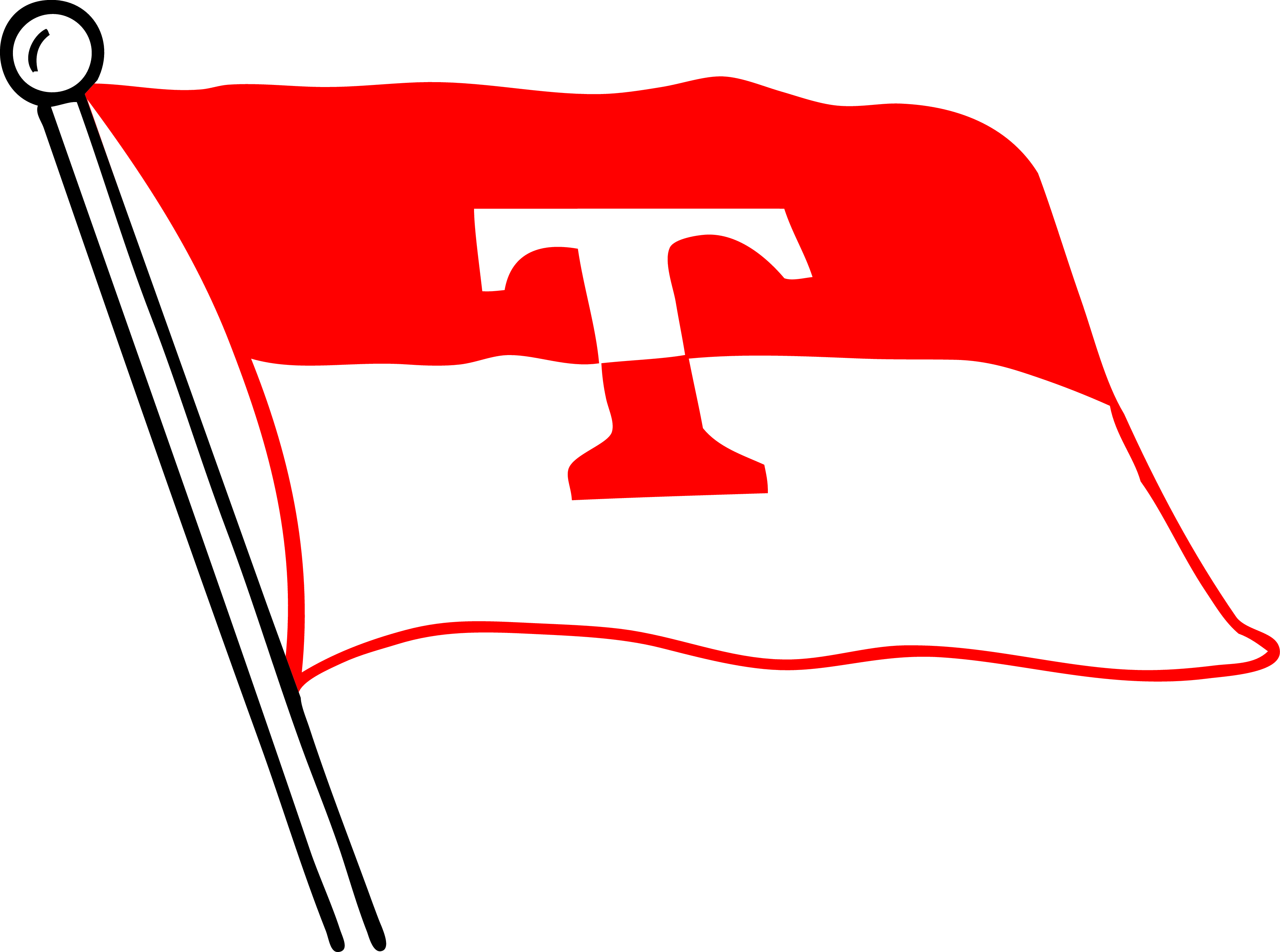 TCC Flang